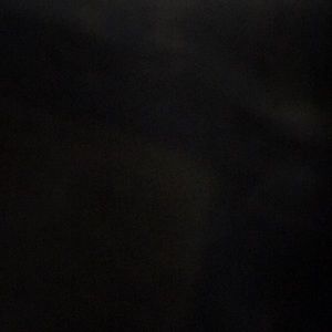 Meet your Posher, Jackson